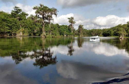 Dog Friendly-Short Walk to Beach-Canal Front-Screened Porch-Peaceful - Foto 57