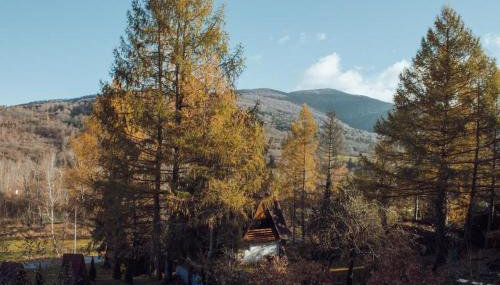 Mysia Nora - Photo 3