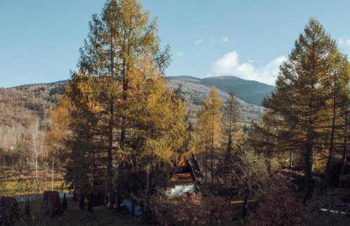 Mysia Nora - Photo 3