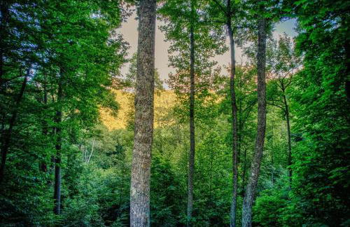 Carolina Charm - Foto 46