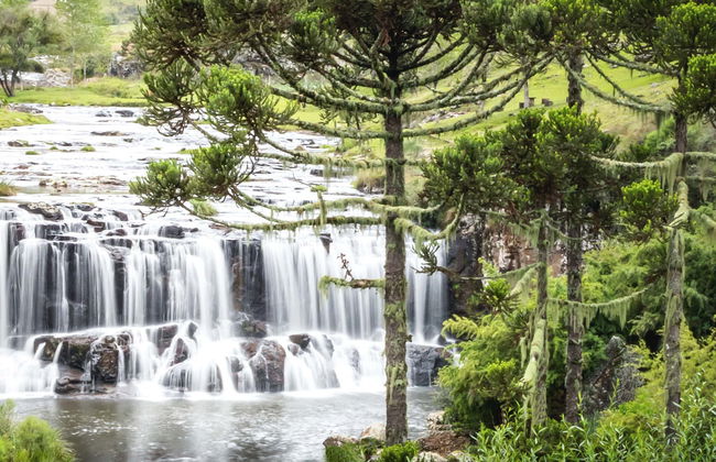 Rio do Rastro Mountains Tour - Foto 1