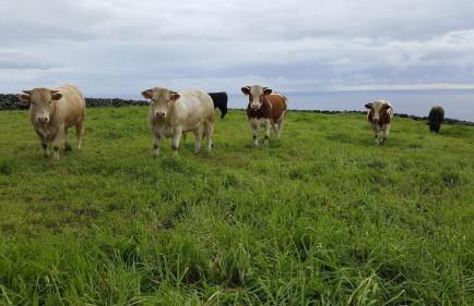 Quinta do Oeste - Photo 30