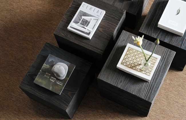 Pico do Refúgio - Foto 11