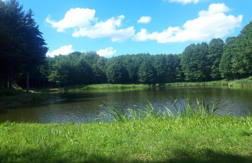 Oaza Las Zagozd 2 - Foto 4