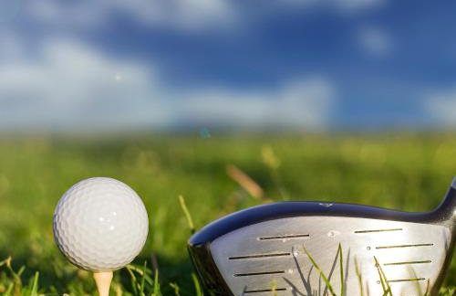 Fewo Rebterrasse - Golf, Wellness und Natur im Markgräflerland - Photo 12