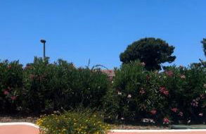 Villa LUMIè Stintino - Foto 25