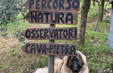 SetterHouseAgriHotel - Photo 78