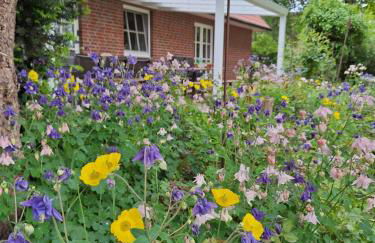 Ferienhaus Ostebogen - Foto 43