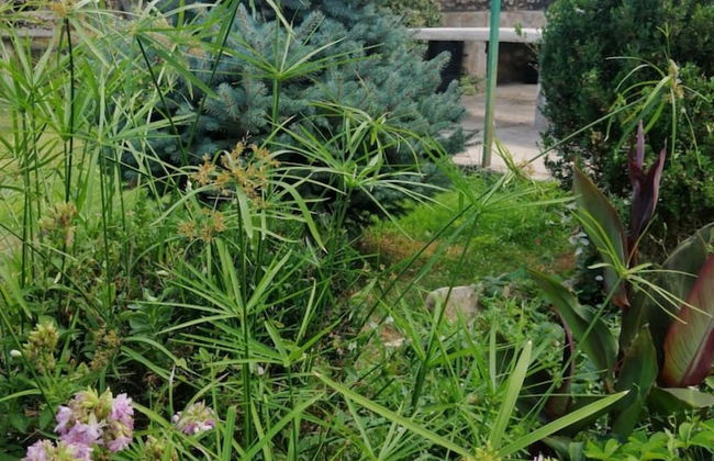 Anka - Comfortable and Affordable - A2 - Foto 11