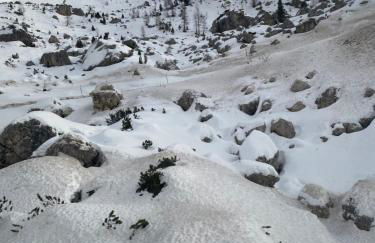 The Grey Lodge at Bosco Verde - Photo 47