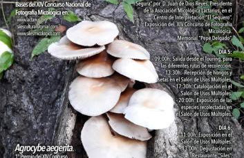 Casa Veva - Siles - Foto 25