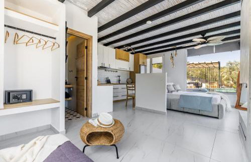 Aegea & Nerion Villas Private Pool Retreats in Skopelos - Foto 29