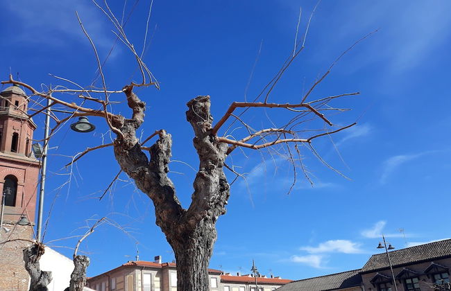 La Casa del Marqués - Foto 46