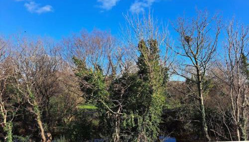 Donard View, Newcastle - Foto 5