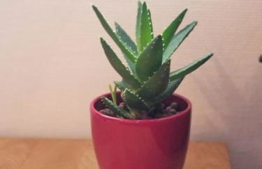 Best of Chartres one bedroom city center and view on the Cathedral - Foto 10