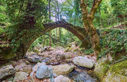 Elvira's houses - Foto 42