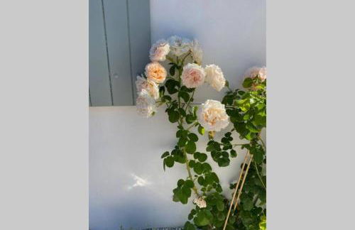 Elégante maison d'architecte, Spa à débordement - Foto 39