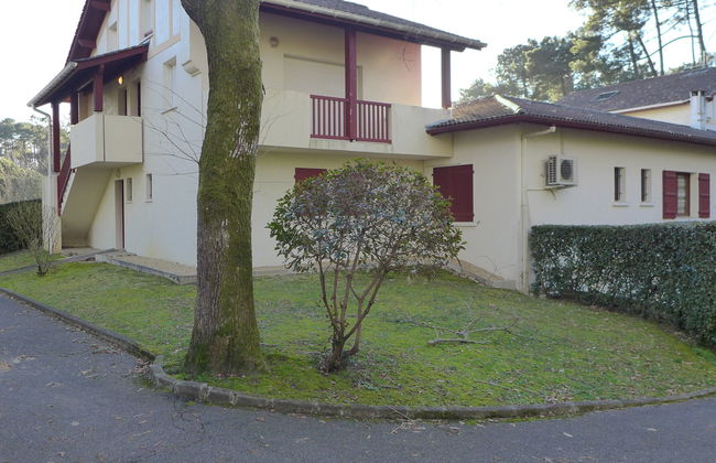 Les écureuils - Foto 15