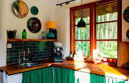 Siedlisko MiłoBrzózka - Photo 41