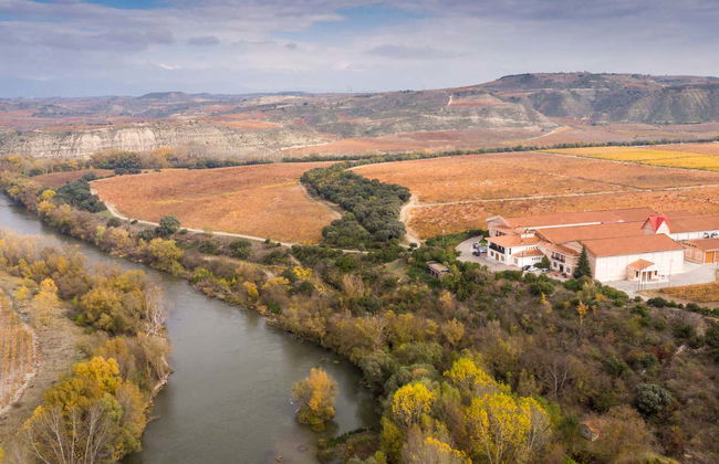 Visita a la finca Valpiedra - Foto 4