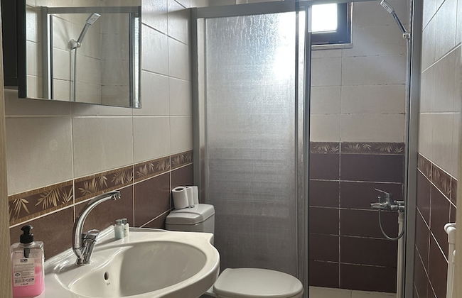 Green Bird Suit - Foto 58