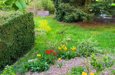 Ferienhaus Rhön-Auszeit - Foto 58