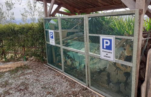 VILLETTA TRA GLI ULIVI - Foto 36