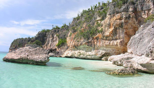 Bahía de las Águilas Day Trip from Barahona - Foto 3