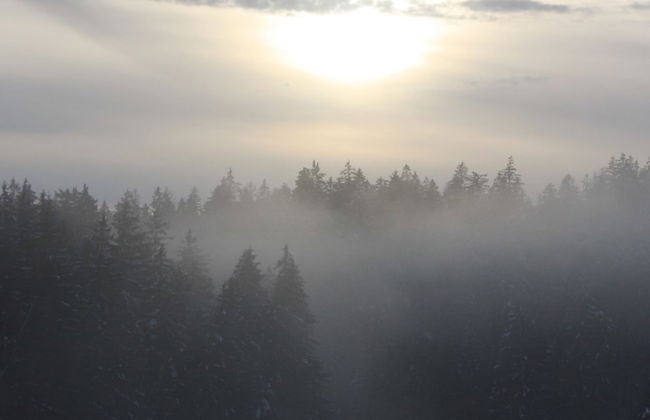 Spacious Holiday Home in Neureichenau-schimmelbach - Foto 20