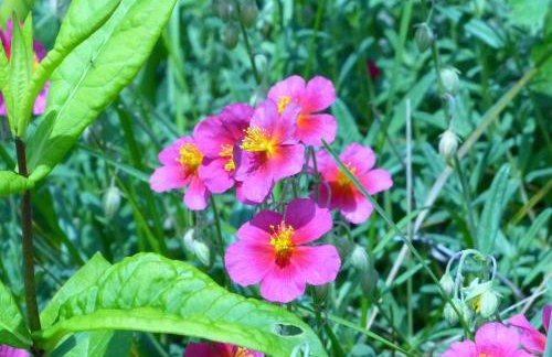 Apartment mit Ausblick - Wörth - Foto 24