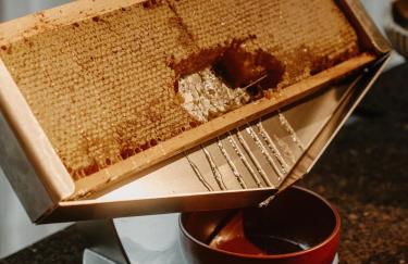 Mason & Fifth, Westbourne Park - Photo 62