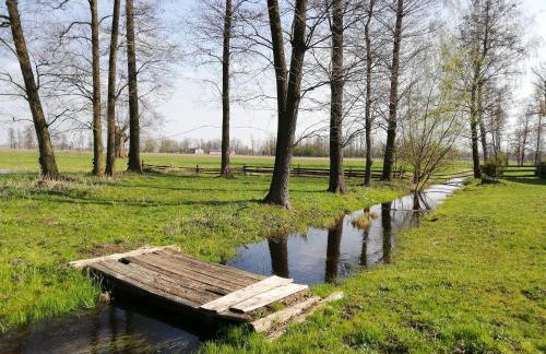 Maciejówka Gospodarstwo Agroturystyczne - Foto 38