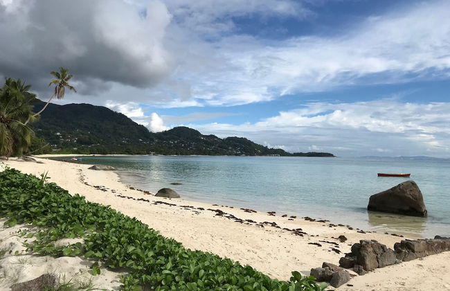 Dar and Douce - Photo 28