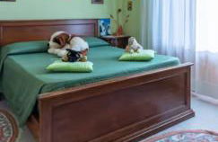 El Giardino delle Rose..... - Foto 13