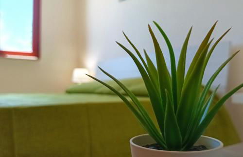 Villa Zaira - Foto 21