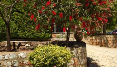 Mouses Apartments-Kardamyli - Foto 5