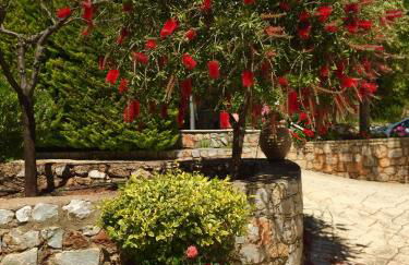 Mouses Apartments-Kardamyli - Foto 5