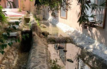 Finca Vitoria - Foto 8