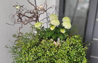 Luxury Appartement Marz, Europa Park-Rulantica - Foto 45