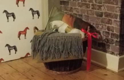 Staffel`s Hob - Foto 20