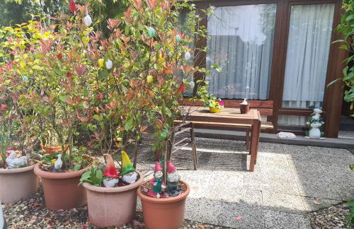 Ferienwohnung Fellnasen WG - Foto 30