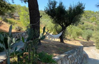 Villa Haris - Foto 13