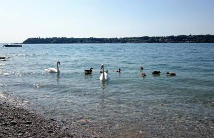 Brezza di Lago - Foto 6