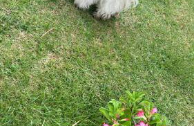 Refúgio Gostoso - Foto 24