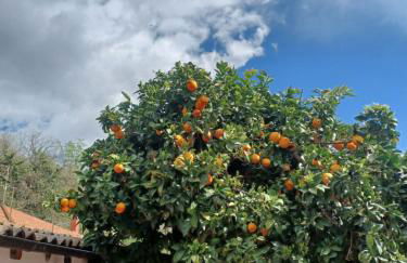 Aetna Silva - Photo 15