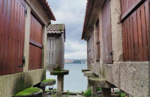 San Roque 52 - Foto 13