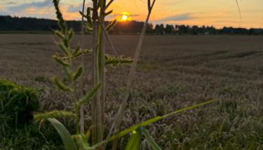 Apartment Ihm - Foto 4