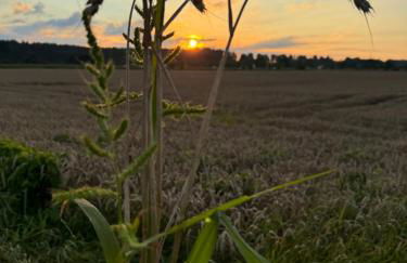 Apartment Ihm - Foto 4