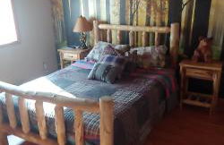 Pocono Mountain Retreat - Foto 9