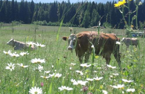 Granerhof Ferien - Foto 7